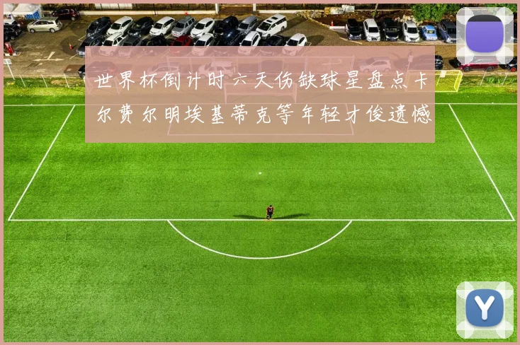 世界杯倒计时六天伤缺球星盘点卡尔费尔明埃基蒂克等年轻才俊遗憾缺席