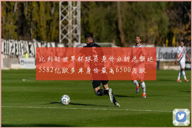 比利时世界杯球员身价分析总额达5582亿欧多库身价最高6500万欧