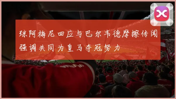 琼阿梅尼回应与巴尔韦德摩擦传闻强调共同为皇马夺冠努力